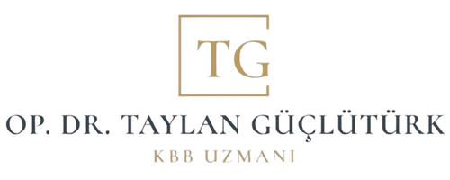 Op. Dr. Mehmet Taylan Güçlütürk — Kulak Burun Boğaz · Burun Estetiği